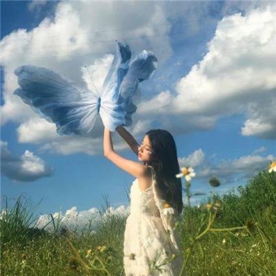东方秃鹰